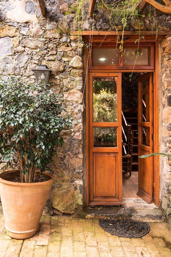 Homeforguest Cosy Rural Flat El Romero With Large Gardens Tacoronte Luaran gambar