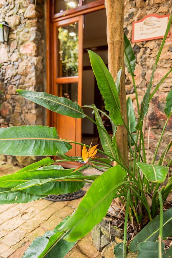 Homeforguest Cosy Rural Flat El Romero With Large Gardens Tacoronte Luaran gambar