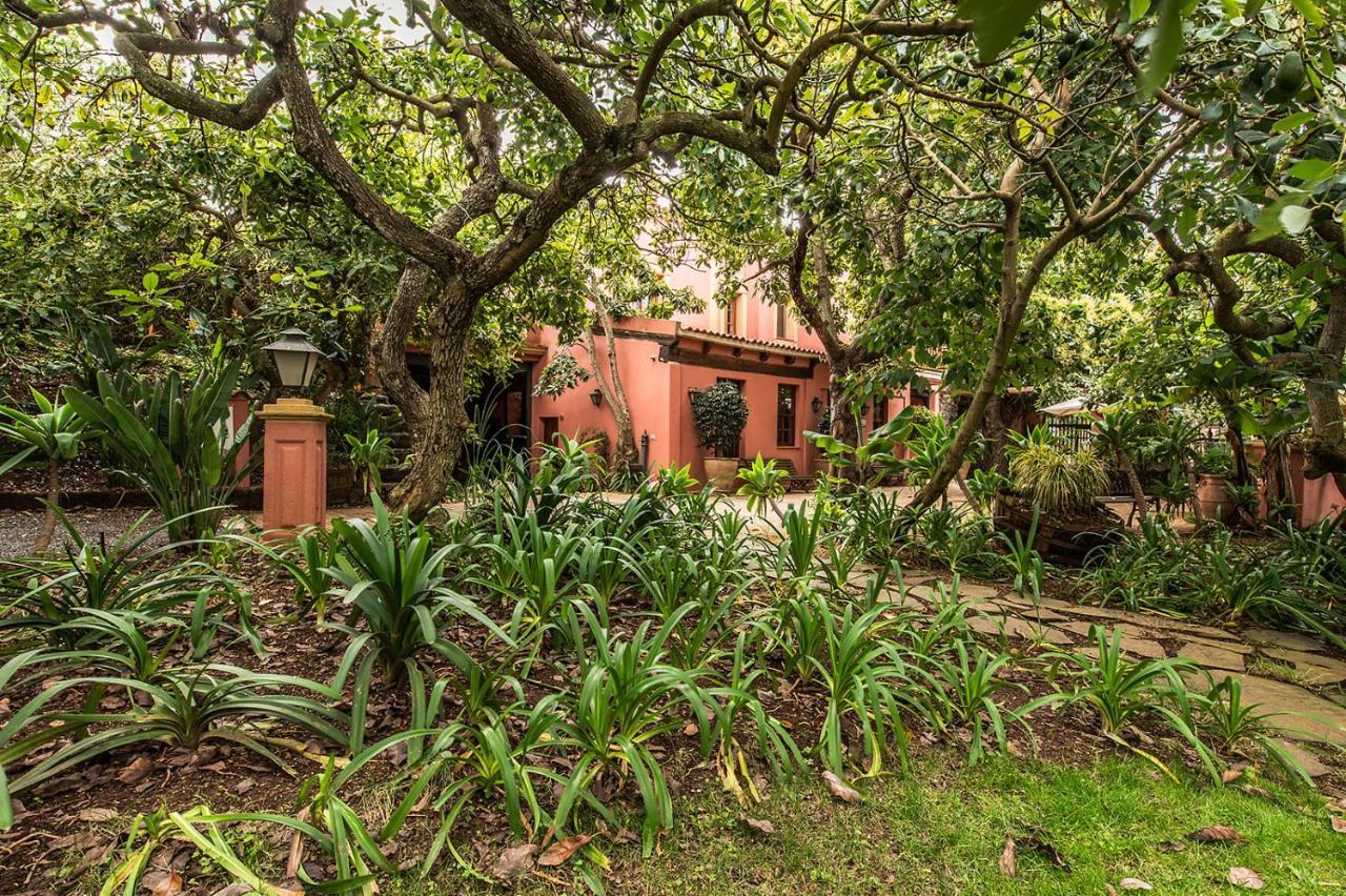 Homeforguest Cosy Rural Flat El Romero With Large Gardens Tacoronte Luaran gambar